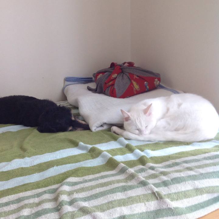 016e1cd6 132a 48a0 b886 98197ffe19a9 1627353899495