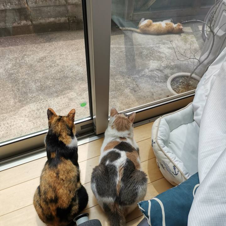 016e37c5 f437 45f6 ab89 60d97a59d42f 1624591523392