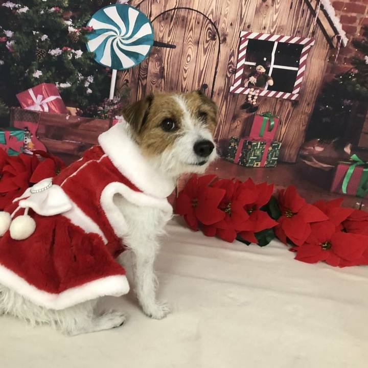 016e3da0 3705 49fe b655 7ffd9f4a3c70 1608768023732