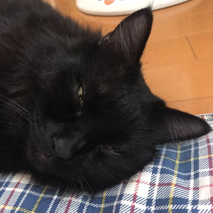 016e432e 3d92 4b79 8bff f5d0e5a09eb5 1513130069703