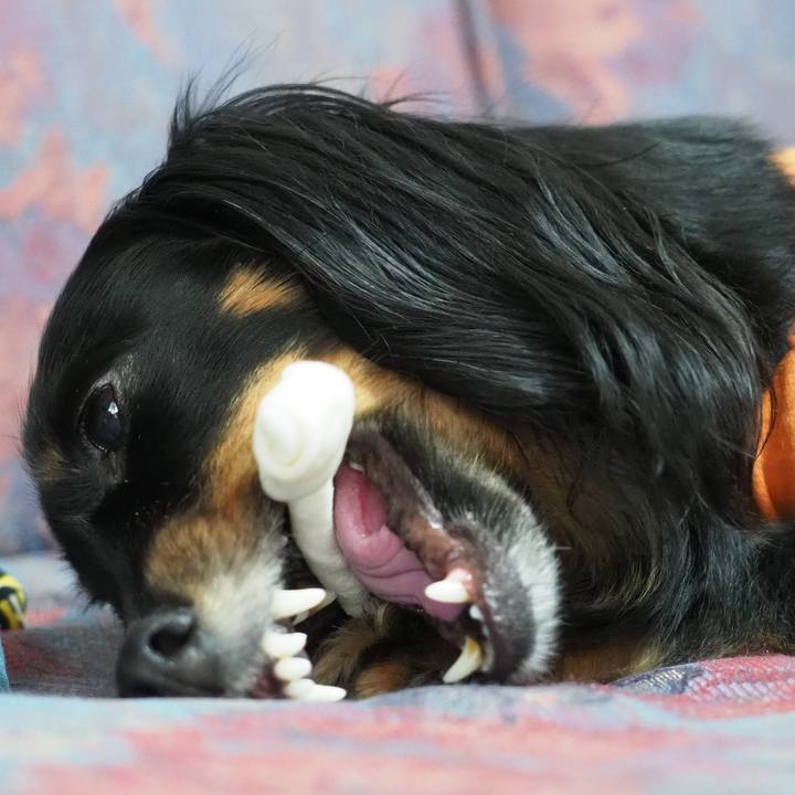 016e8eed 0abc 474a 9b00 1440e4171b93 1634201397255