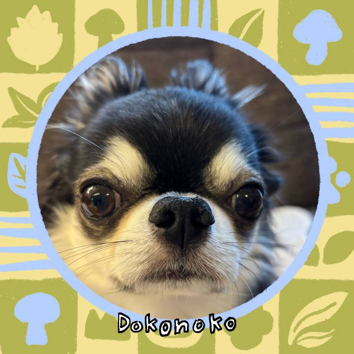 016ea672 1f6d 4fe4 8e09 8b449f375e3b 1761348784877