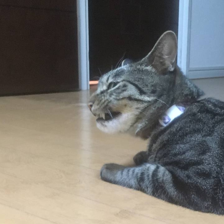 016eaf08 dcf0 43f1 b519 09980d05cf20 1600001806131