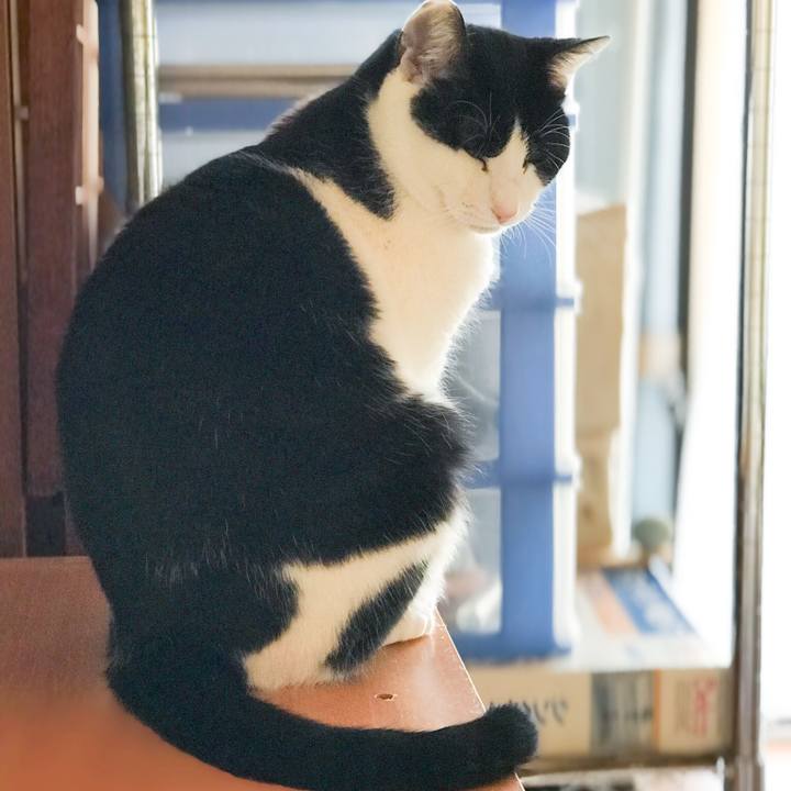 016eb76b 2cb7 4803 ac58 08de384e4f43 1518920219203