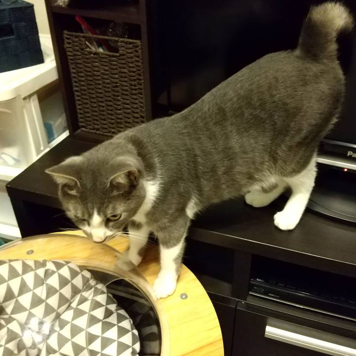 016ec096 128a 4afa a779 4c7f3590c96a 1599139898360