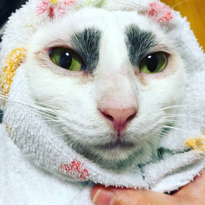 016edce0 76a6 4ef6 a8a9 65df6b901190 1509297787244