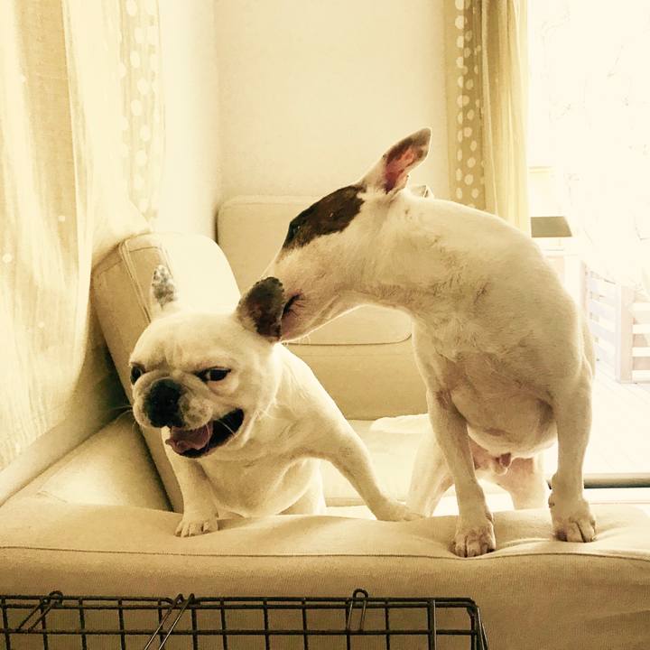 016f203b 94e4 4b71 918d 70acedb64fc0 1517873476254