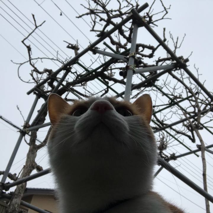 016f28b5 22b9 456a 981e 6a7473d2b3c9 1514253867594