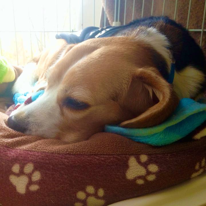 016f3b57 8246 4d9d a3d0 f230428b19ed 1741478488698