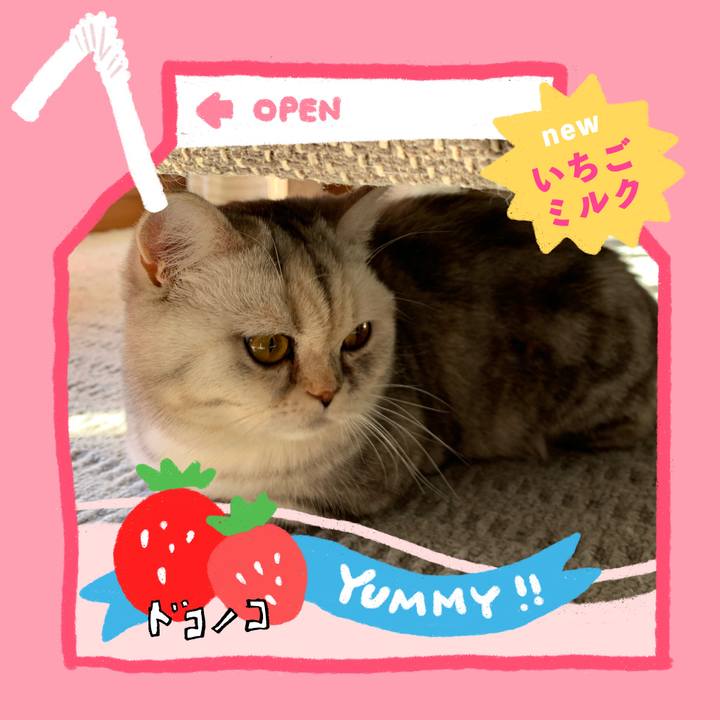 016f7b1e 2e16 445b 8148 1dd7b5b6d7fd 1711059712800