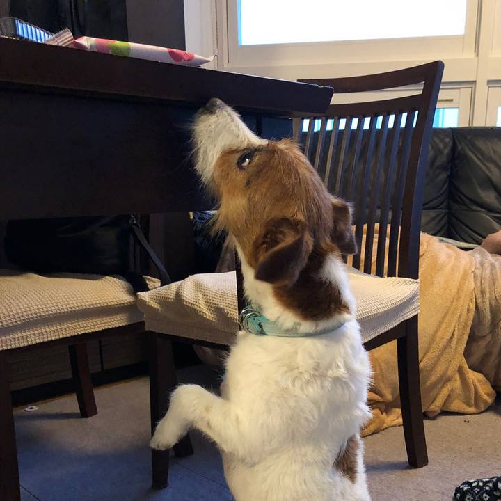 016fb362 fff9 4204 80ce da7051e2561c 1563071643005