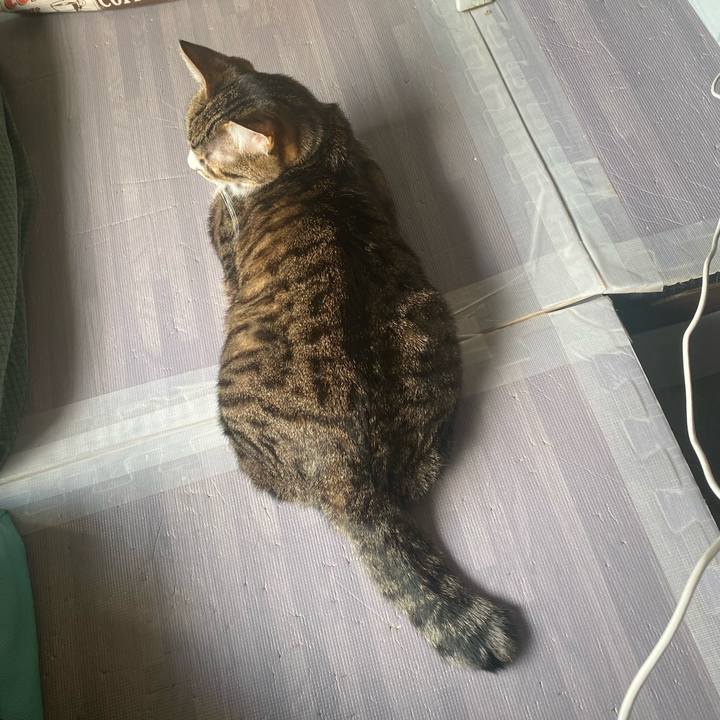 016fe94c 2f62 4653 93f3 6c30c6acd38e 1639437806176