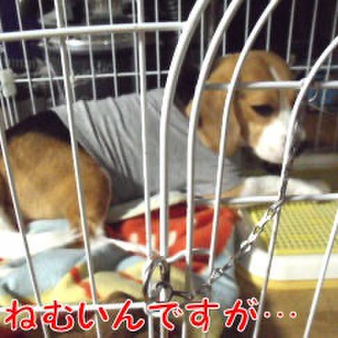 016feb31 af20 47ef a224 34d3481b6aa3 1722810850316