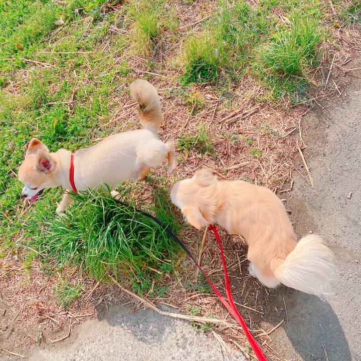 01700fe6 fb15 40fb 83a0 5f5d3fc85503 1646122515319