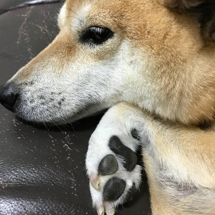 01703686 7d93 4099 9d08 84664fd80416 1508759800055