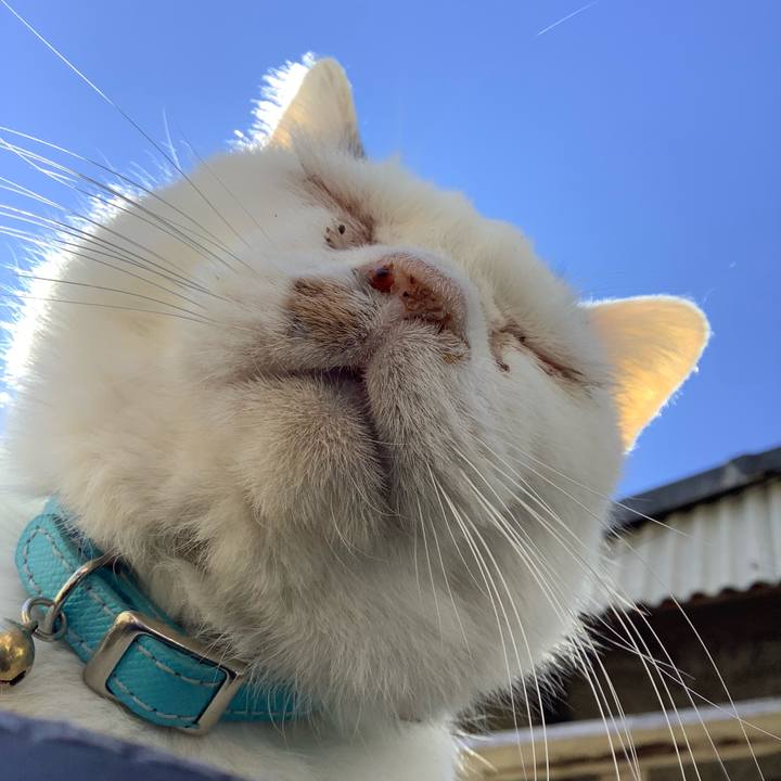 01703d2a 1858 4048 ba5b 9eab225424b9 1610252839718