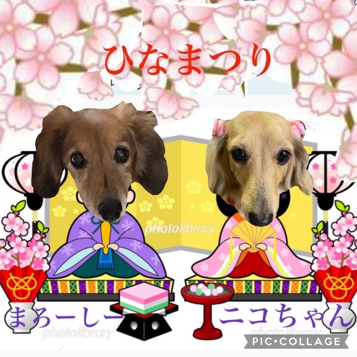 017056a3 1c50 4854 a44c 8d43a8cd12cf 1646290980666