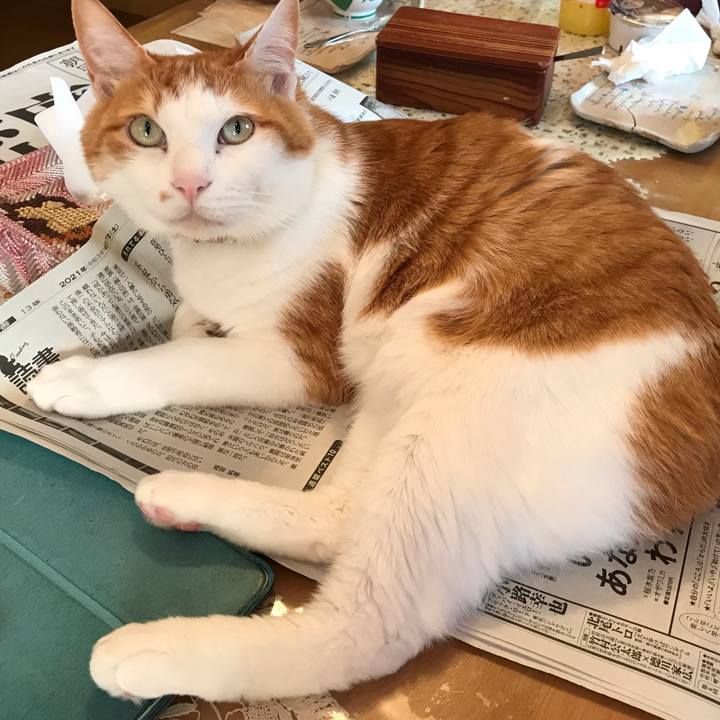 017065f1 84e2 46b5 a631 e883eeadd721 1618608013073