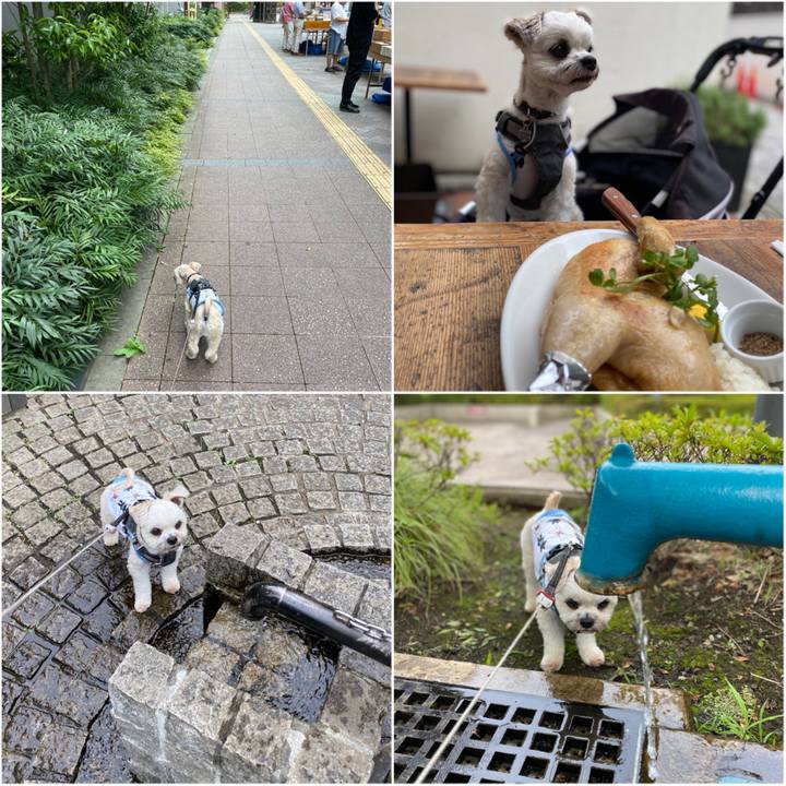 01709aef a096 4e57 83cd 17b6bf2337cd 1593257853161