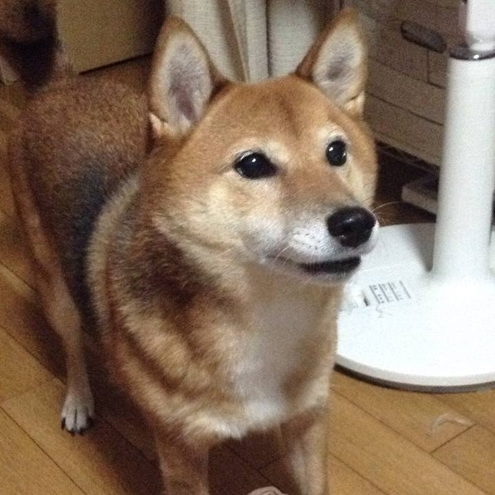 0170be57 17b5 4ac0 bf75 fc4db8ddc974 1508056826530