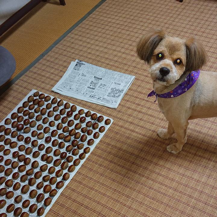 0170c9ff 9f52 4184 9bbc 913387dcc96b 1569835156731