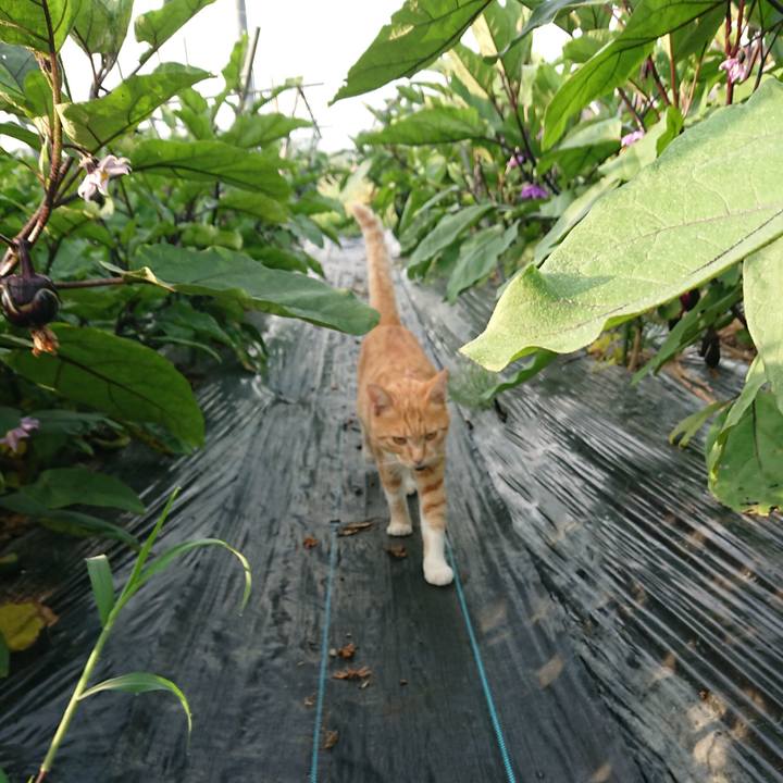 0170d75f b47b 4f5e 890b daf38dbc3184 1564520524377