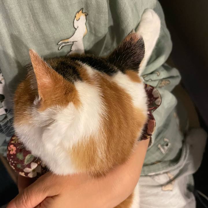 01711bee bf62 4fc8 be81 89e4fed948d5 1761923304582