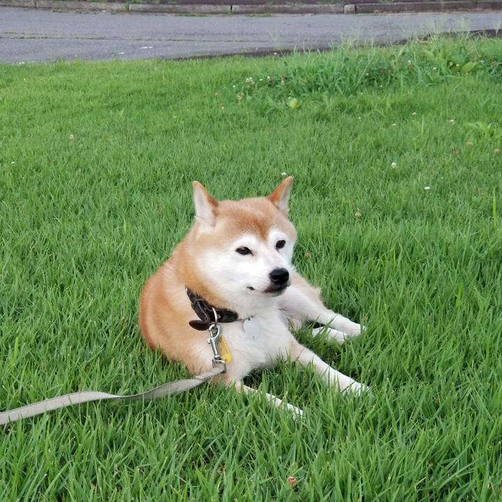 017127ff f0ec 4c71 8a39 a1ab9b81ed86 1628500293143