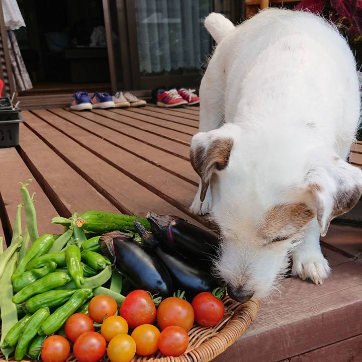 017150c5 8efc 4cba 9d1e 13989e0c0176 1530229823446