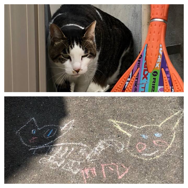 01716394 e7cd 4b3e a049 2e1a6caf350e 1522319628010