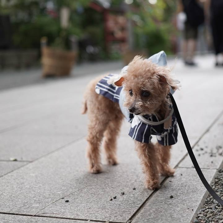 01718c32 6b15 40fc 91a3 68a4cf6c9549 1697255152564