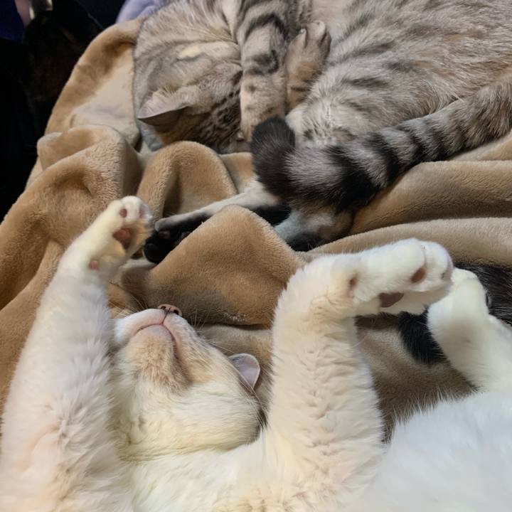 0171b5d7 6ace 44b1 b89f 689270eb58d1 1635287785214