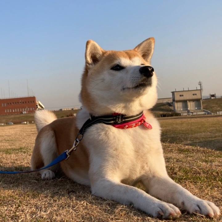 0171d5f6 075f 42c7 9681 2cde44a565d6 1610671151516