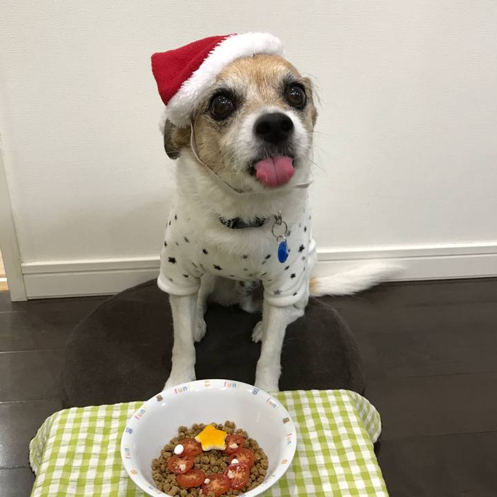 0171d70e 4775 4261 8e6d 453dccee97ac 1608805802375