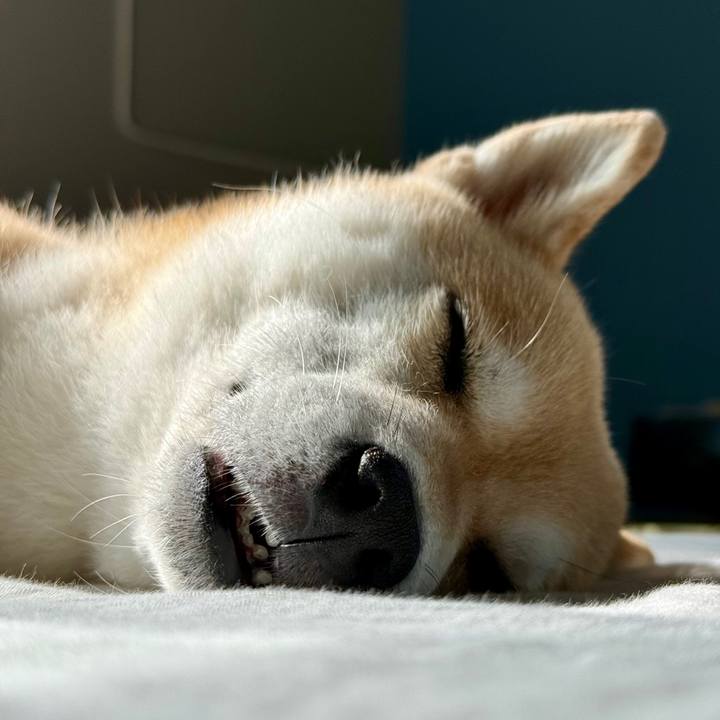 0171f4a3 6754 4fe8 b8c3 d71943ac02c9 1762825444867