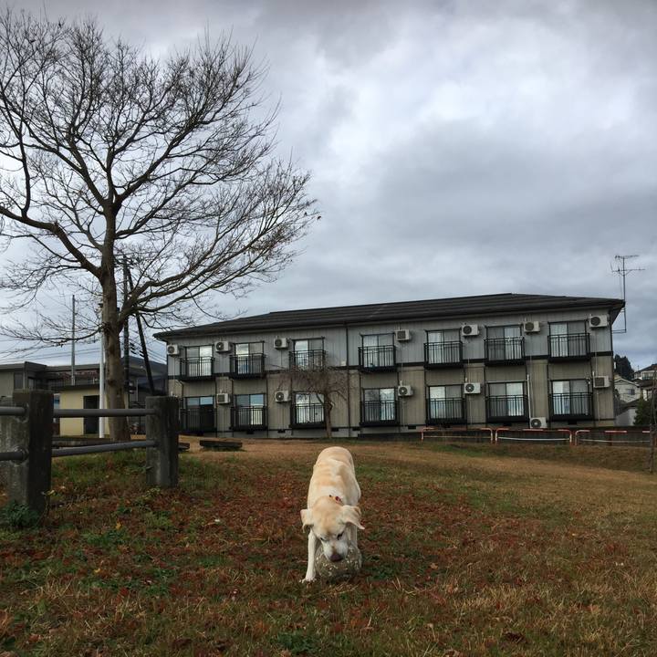 017217a7 c3df 4e3e 864f a2b7e6e3168c 1543887802514