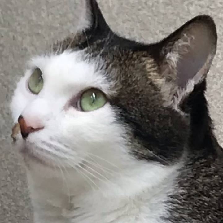 01722df5 4c6c 4537 a82a 6cced505794c 1556326630222