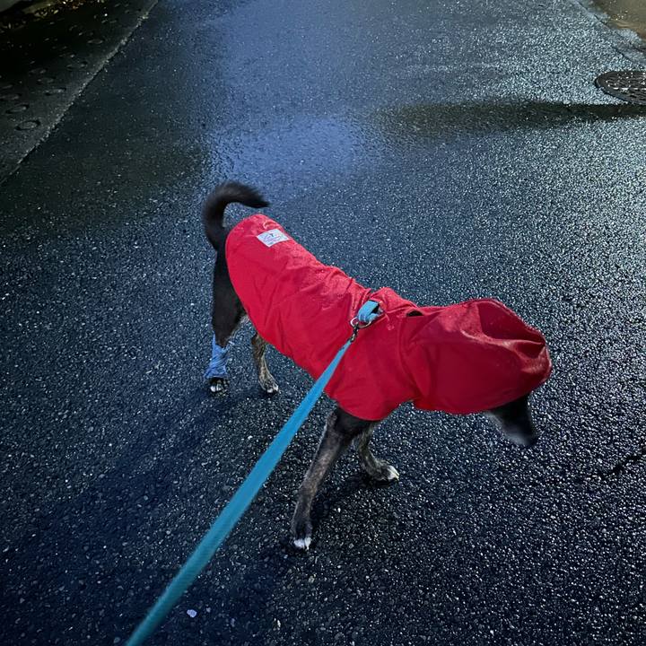 01723adf 6a02 4fa7 8288 e91257681abe 1729566135271