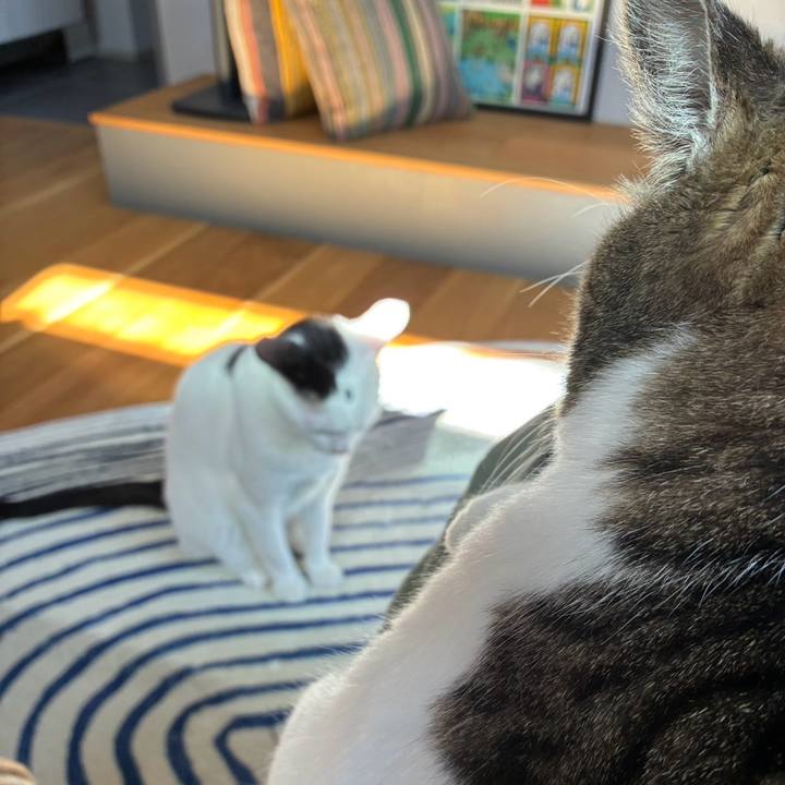 017254f7 eef2 4e88 8de4 5ee7d6892bed 1771728030968