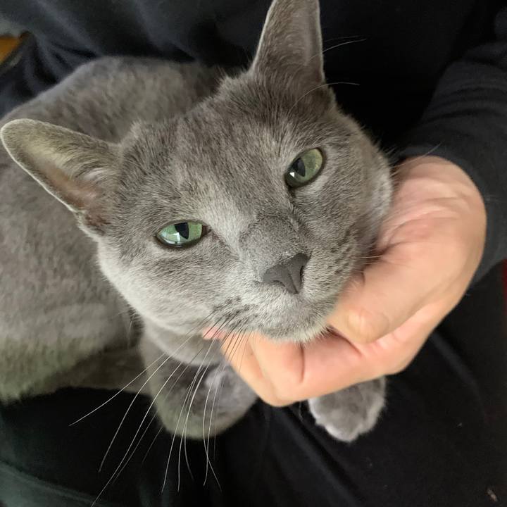 017271dc c493 4258 8ede e9734de8549b 1651968517670