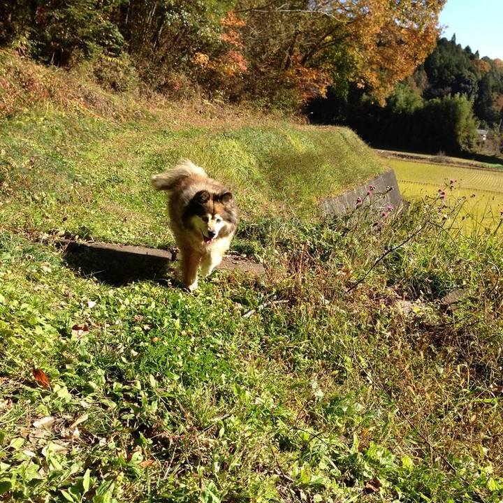 017295ad fbfe 447c b418 a9f2f0481da6 1584925605617