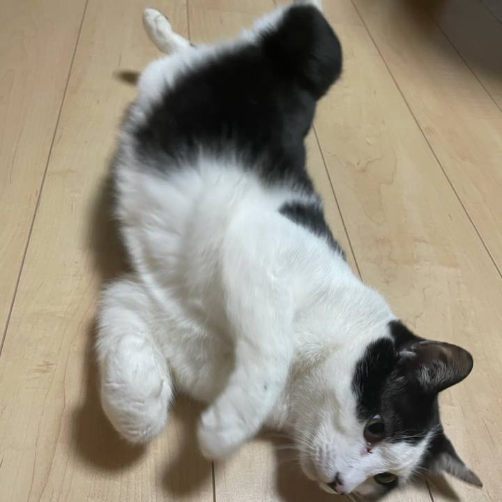 0172a06c 25d8 4d3f a4b7 3ac11ec093e4 1620660165110