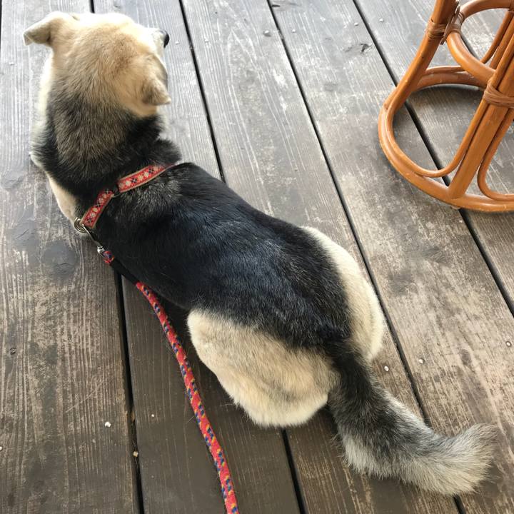 0172a62c bf1f 4244 bd6d 2fb78e9560d1 1528011719760