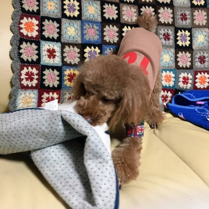 0172d8fd 3510 46b5 a7ec 9e7e4bed3f5e 1517978945641