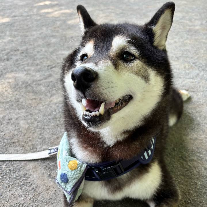 0172e91a 1f2e 4df5 a0e1 28419ac25625 1750291398774