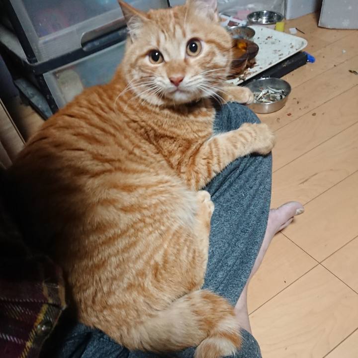 01732eac 816d 48c4 ac83 09e4cfd8f661 1641676175159