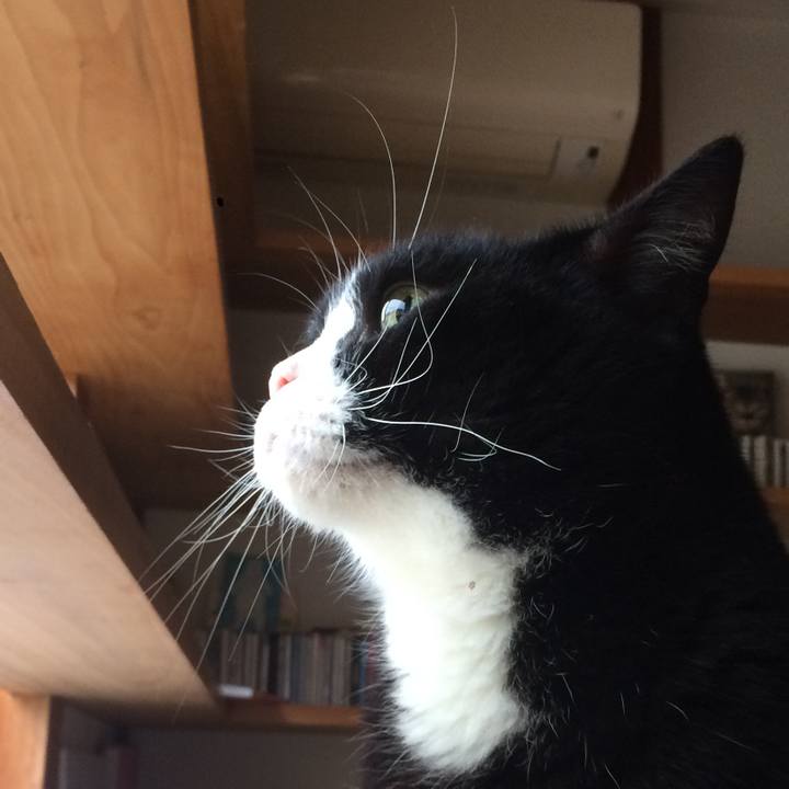 01733df6 4dad 4db2 8dc8 736d176de08f 1508631264726