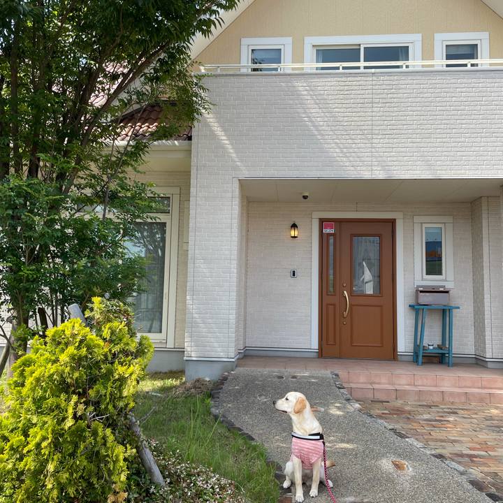 017386f1 28d3 44ee 9781 76f551bb8738 1624090761820