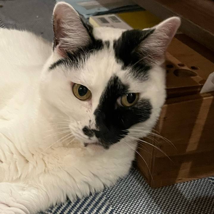 01738fa5 f055 47a0 a7b5 01f97fa59c84 1761314077943