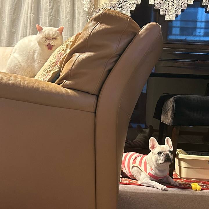 0173a5dd 474e 461d 9530 d27793b48961 1696421697942